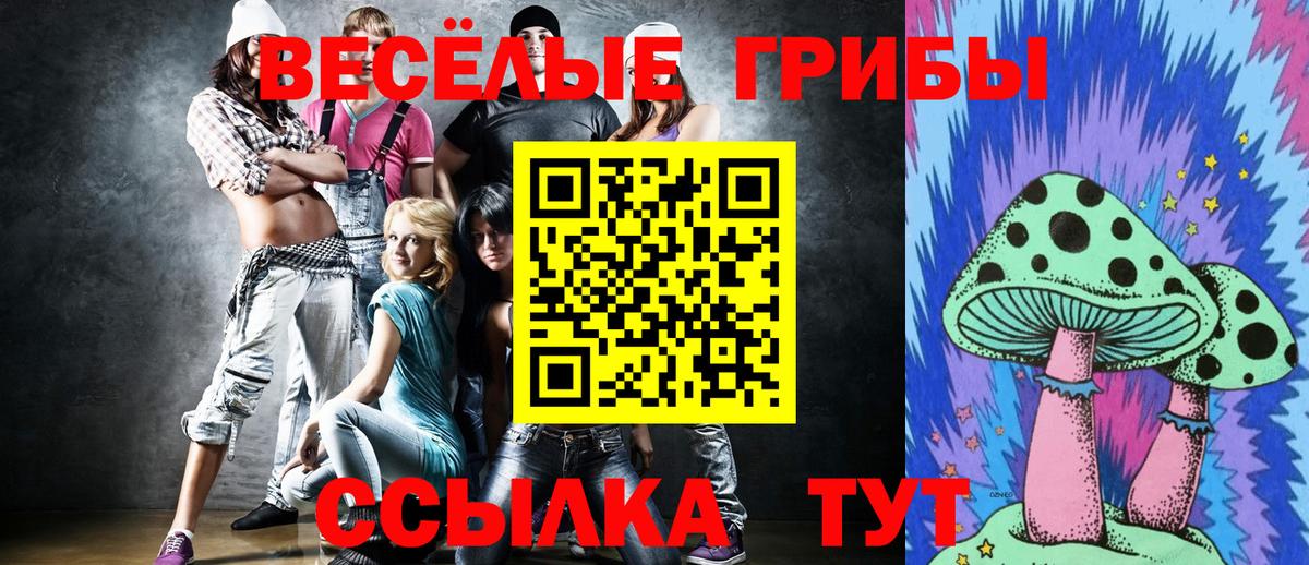 цена наркотик  Вход с VPN  Вышний Волочёк  Галлюциногенные грибы MAGIC MUSHROOMS 