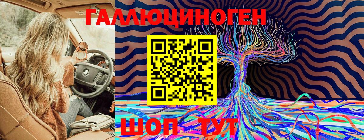 Галлюциногенные грибы Magic Shrooms Вышний Волочёк